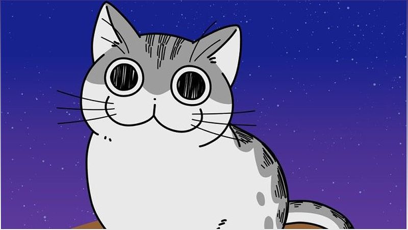 Exciting News for Fans of Nights with a Cat: Third Season Confirmed! - 464189964